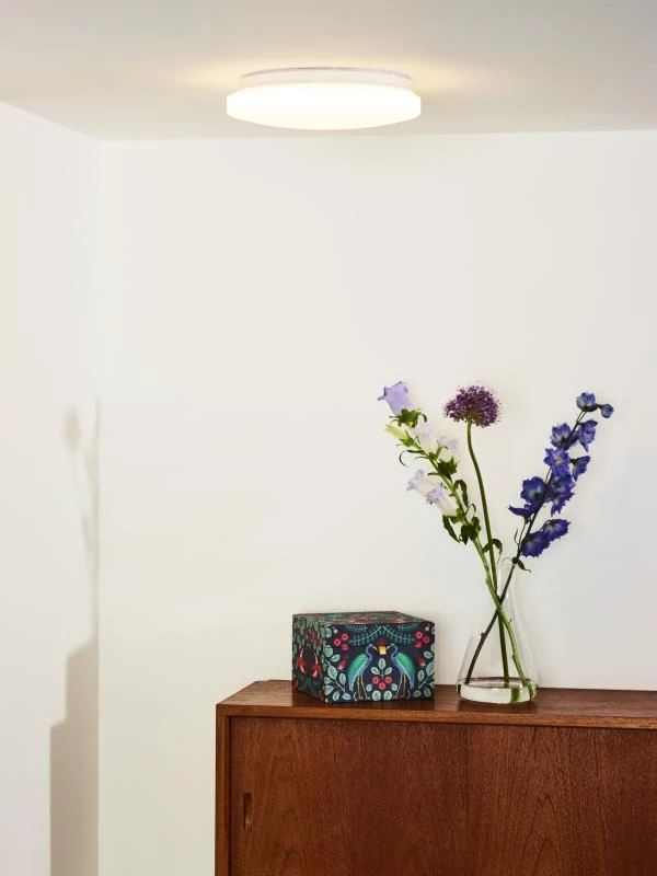 Lucide OTIS - Flush ceiling light - Ø 26 cm - LED - 1x14W 3000K - Opal - atmosphere 1